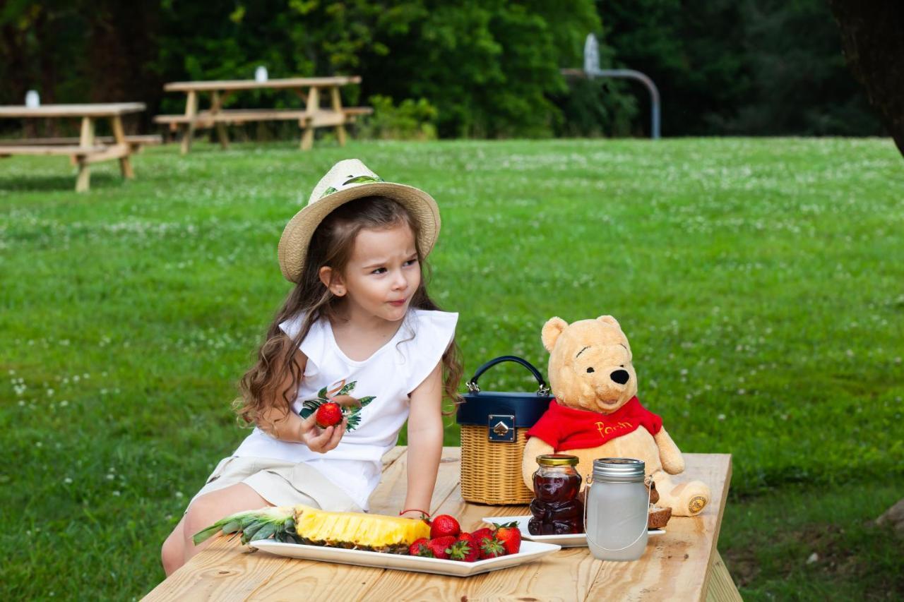 Skylaranna Resort & Spa Hendersonville Luaran gambar